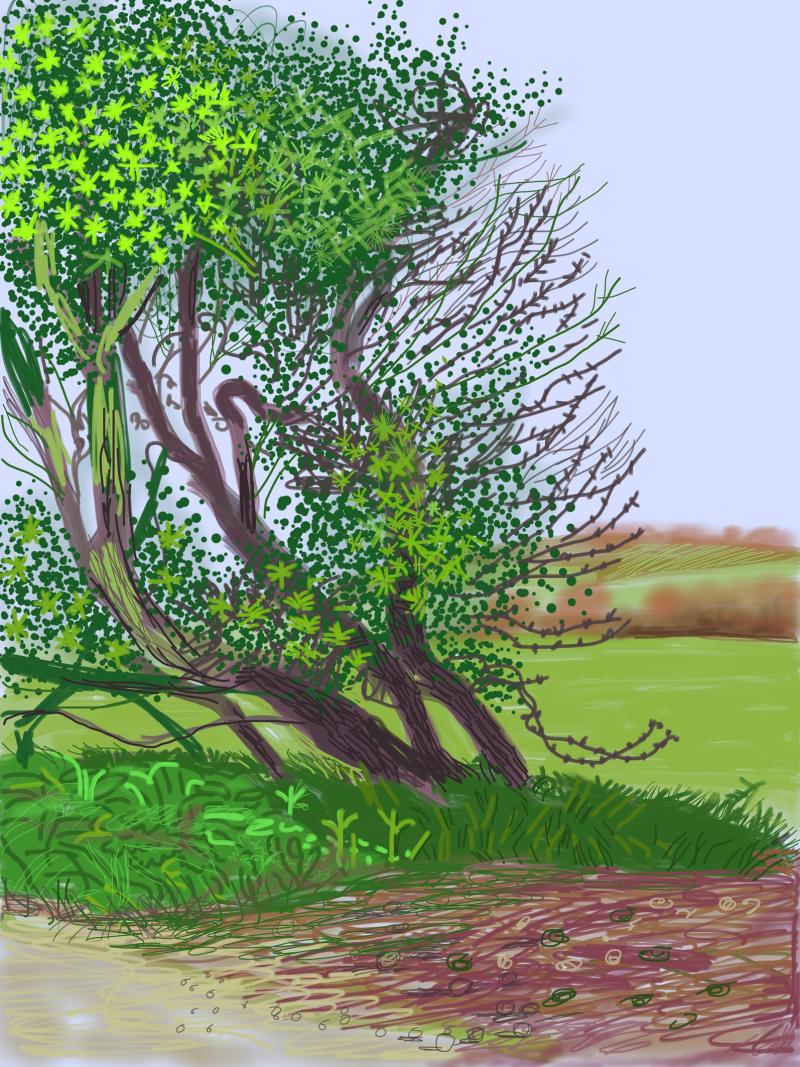 David Hockney "The Arrival of Spring in Woldgate, East Yorkshire in 2011(twenty eleven) - 12 April, No. 1" 1 Zeichnung aus einem 52 -teiligen Werk / One of a 52 part work IPad - Zeichnung auf Papier / IPad drawing printed on paper 144,14 x 107,95 cm © David Hockney