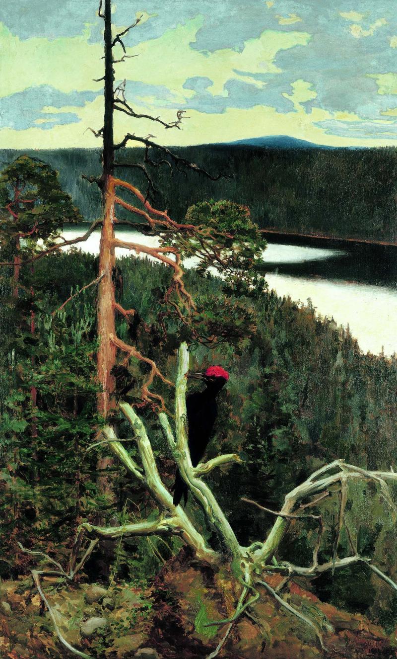 Akseli Gallen-Kallela, Der große Schwarzspecht, 1892-1894, Öl auf Leinwand, © Privatsammlung