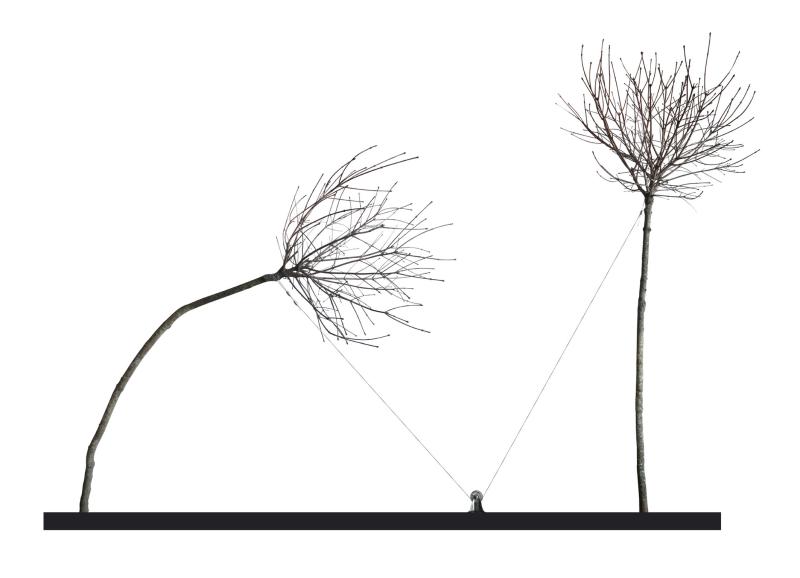 Krišs Salmanis  V, 2009  Trees, wire, pulley, podium  400 x 150 x 310 cm  Courtesy Alma Gallery, Riga