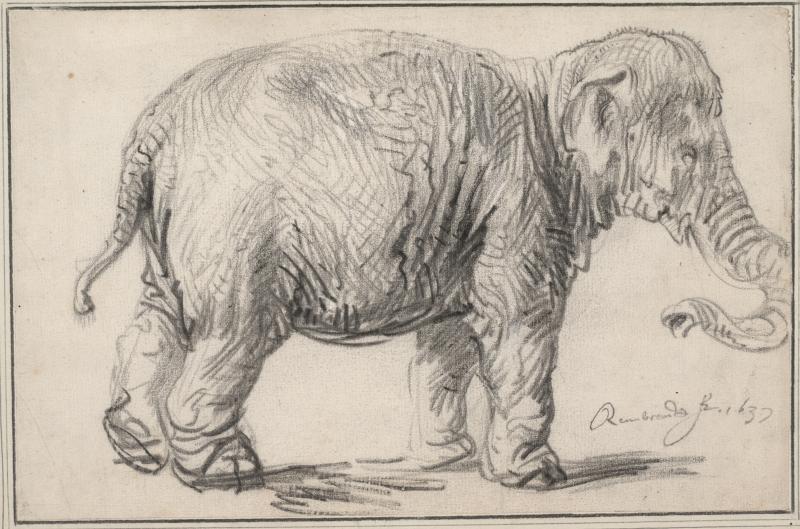 Rembrandt Harmensz. van Rijn Ein Elefant, 1637 © Albertina, Wien