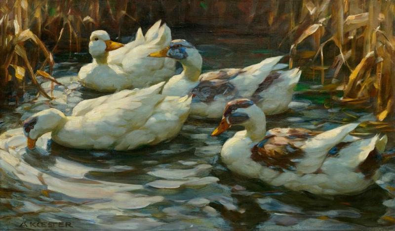 ALEXANDER KOESTER <br> Enten im Teich. Öl auf Leinwand. Signiert: A. Koester. 45,5x76,5 cm. CHF 20 000 / 30 000 Auktion 28. März 2014