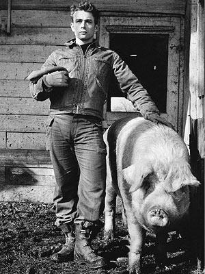 James Dean mit  einem Schwein auf der Farm seines Onkels in Fairmount, Dennis Stock, erzielte 12.000 Euro (Ausrufpreis 1.800 Euro).