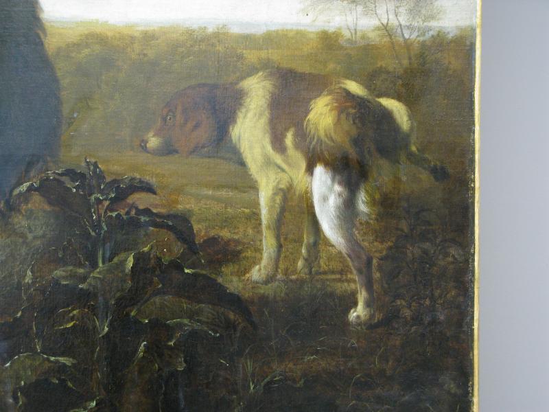 Dokumentation der Restaurierung des Gemäldes „Großes Tierstillleben“ von Jacob van der Does: Der Firnis ist im Himmel abgenommen und im hinteren Bein des Hundes, Staatsgalerie Stuttgart