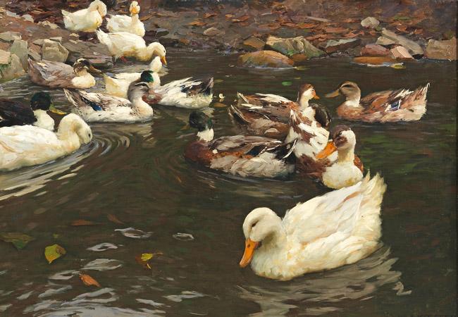 Alexander Koester (1864 - 1932). Enten am Ufer. Öl/Lwd. Sign.;