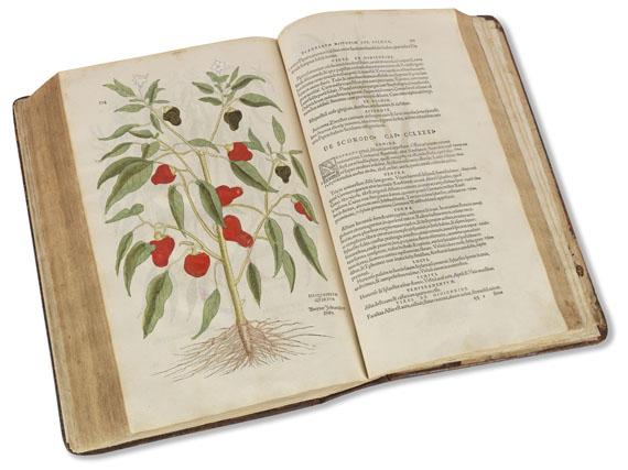 Lot: 573   Fuchs, L.  De historia stirpium. 1542.  Schätzpreis: 18.000 EUR / 23.580 $