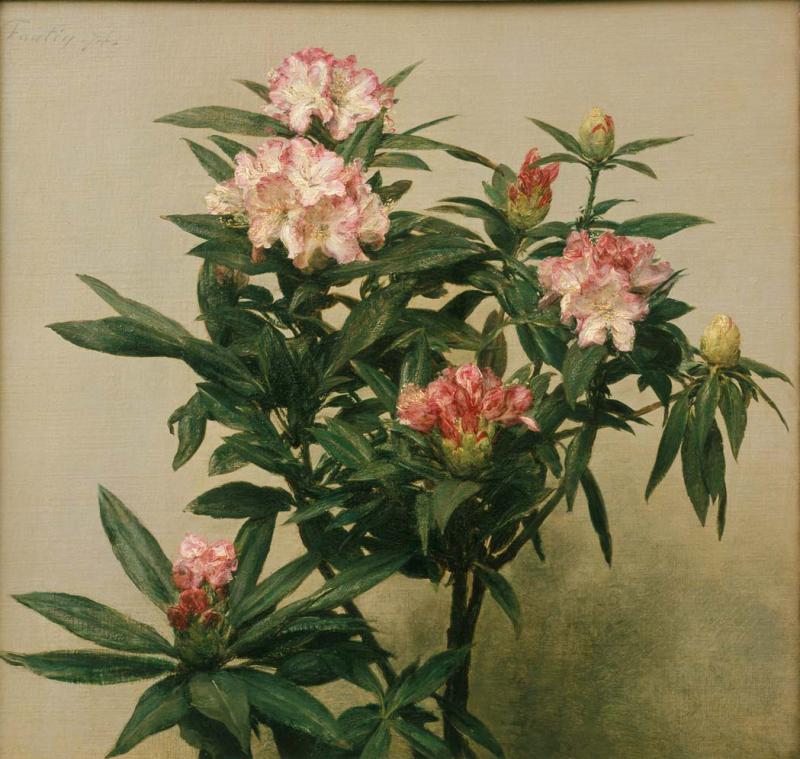 Henri Fantin-Latour Rhododendron, 1874 Öl auf Leinwand, 54 x 57 cm Wallraf-Richartz-Museum & Fondation Corboud, Köln