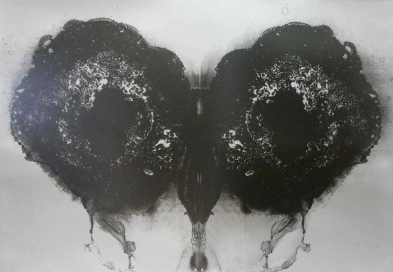 Otto Piene, Butterfly silver (1971/72, WVZ 123 a), Mindestpreis:	900 EUR