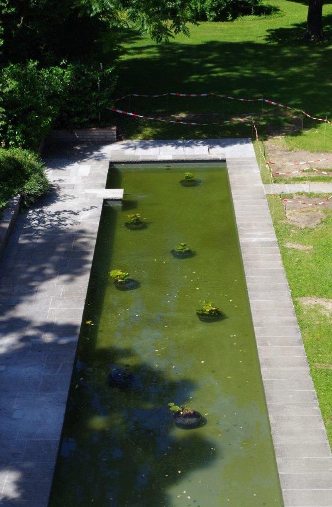 Das wiederhergestellte Seerosenbecken im Schlossgarten Schönhausen: Foto: SPSG