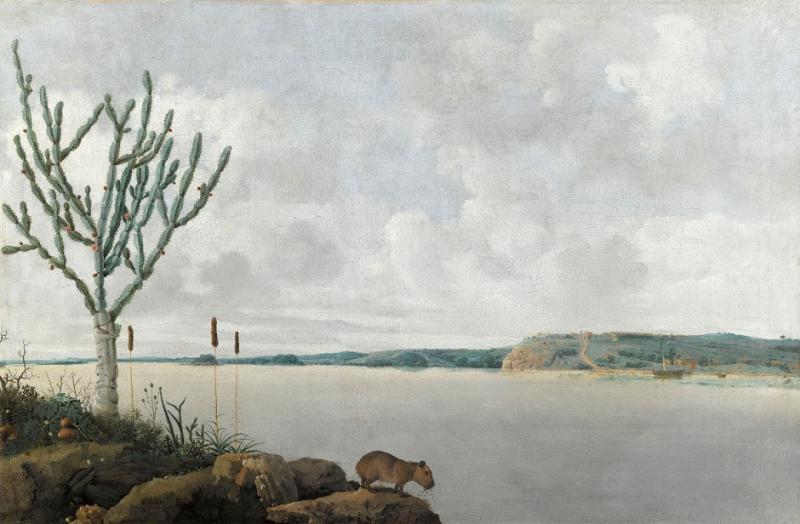 Gezicht op de Rio Sao Francisco, Brazilie, Frans Post (1612–1680), olieverf op doek, 1639. Musée du Louvre Parijs