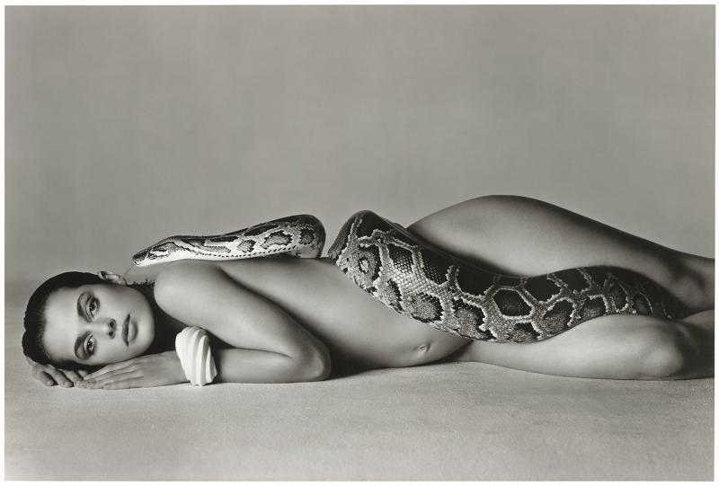 Richard Avedon, Nastassja Kinski and the serpent, Los Angeles, 1981, Printed 1982 © The Richard Avedon Foundation.