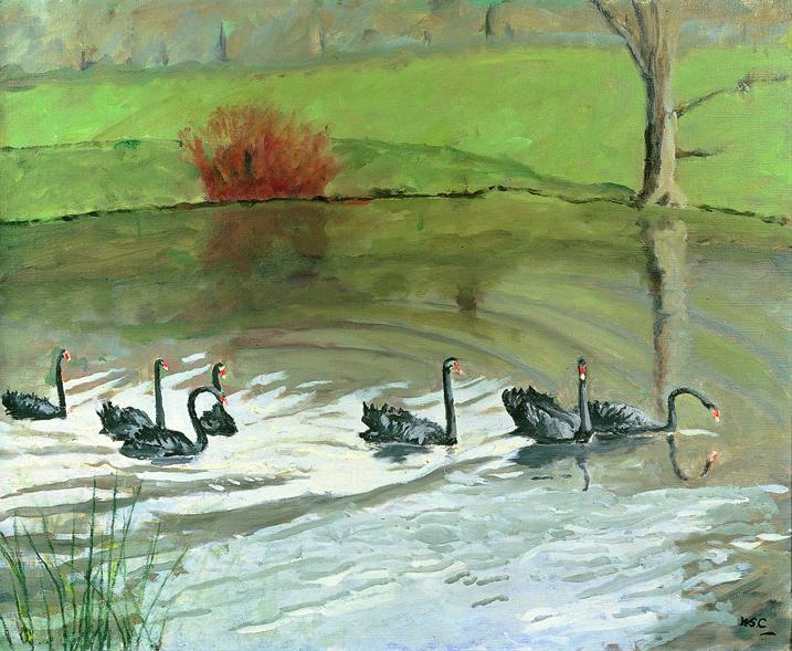 Black Swans at Chartwell, 1948 Churchill Heritage Ltd