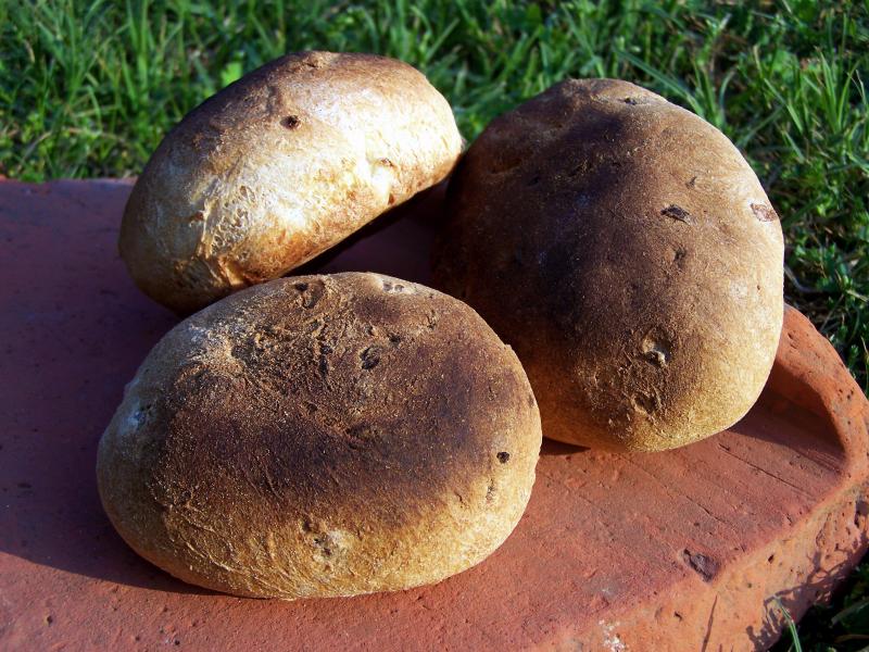 Brot aus alten Getreidesorten, Foto: Univeralmuseum Joanneum