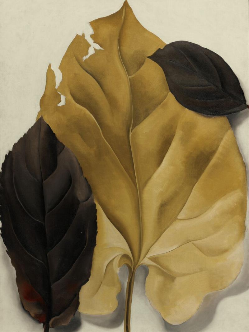 9626 Georgia O'Keeffe, Brown and Tan Leaves