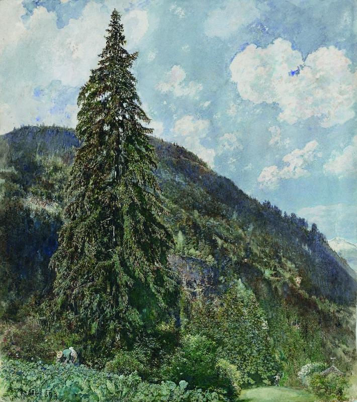 Rudolf von Alt, Die alte Fichte in Bad Gastein, 1899 © Leopold Museum Vienna