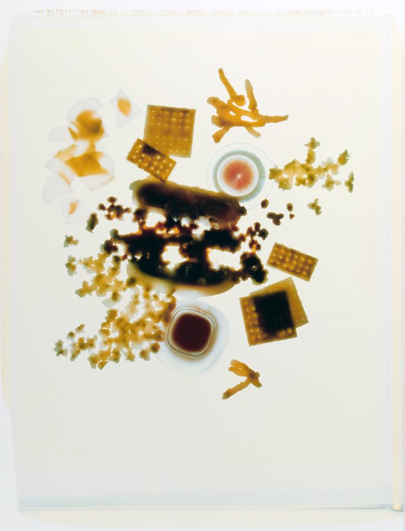 Robert Heinecken, Foodgram, ca. 1983, Polaroid 20x24 Polacolor, Fotogramm © Robert Heinecken, Courtesy Fotosammlung OstLicht