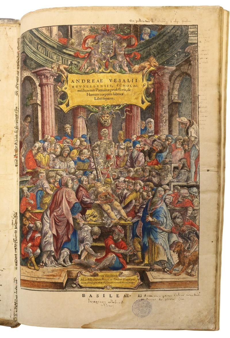 270 Vesalius, Andreas. De humani corporis fabrica libri septem. Basel, (Johannes Oporinus, June 1543). EUR 950,000.00