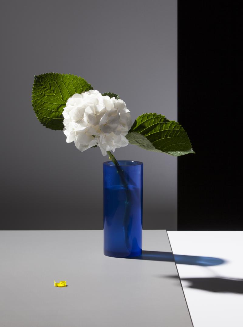 Felix Dobbert, Some Flowers. © Felix Dobbert