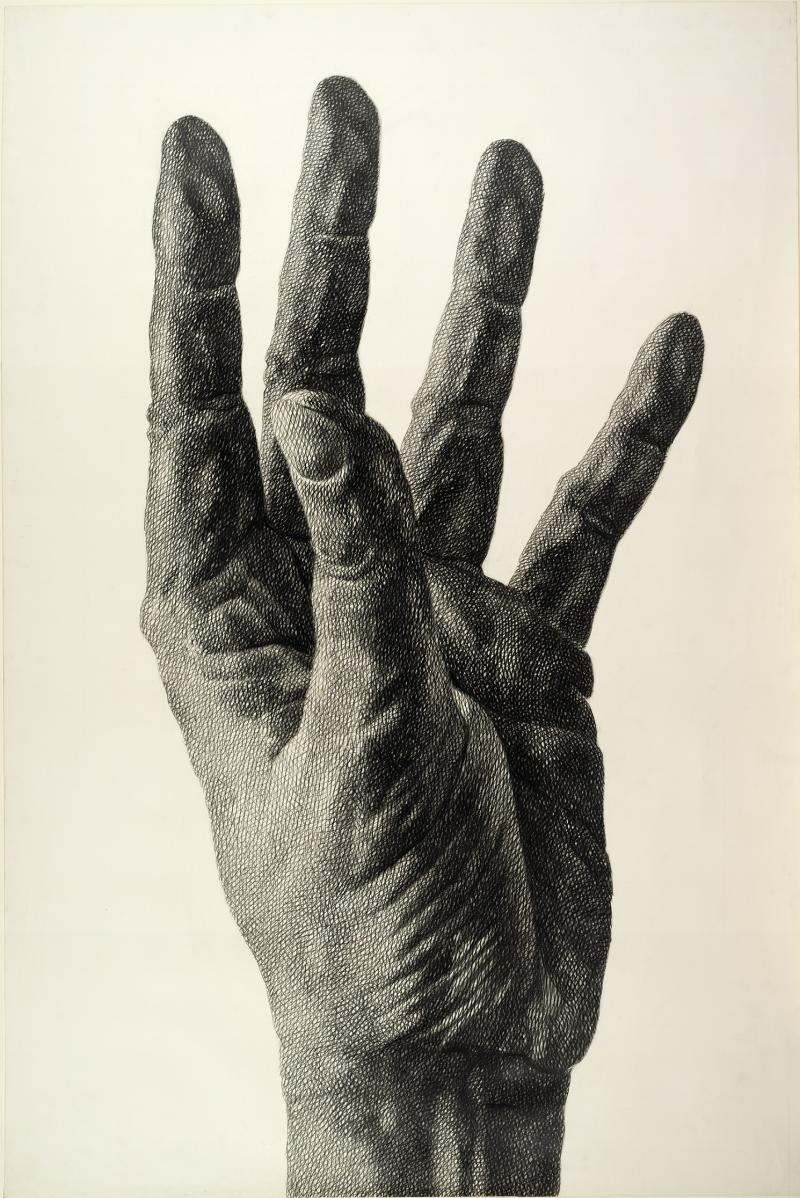 Florentina Pakosta Aufstrebende Hand, 1980 Kreide Albertina, Wien © Bildrecht, Wien, 2018