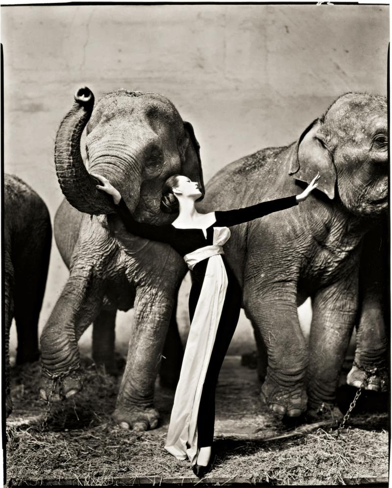 Richard Avedon Nastassja Kinski and the Serpent, Los Angeles, California oversized, signed and editioned '66/200' in pencil on the reverse, framed, 1981, printed in 1982 32 1/4  by 48 3/4  in. (81.9 by 123.8 cm.) Estimate $60/90,000