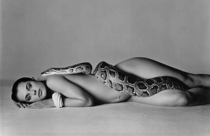 Richard Avedon Nastassja Kinski and the Serpent, Los Angeles, California oversized, signed and editioned '66/200' in pencil on the reverse, framed, 1981, printed in 1982 32 1/4  by 48 3/4  in. (81.9 by 123.8 cm.) Estimate $60/90,000