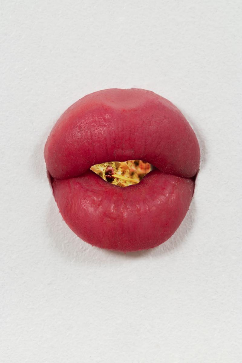 Mika Rottenberg, Lips (study #3), 2016. Videoinstallation, Einkanal-Video, ca. 1:28 Min. Ausstellungsansicht Palais de Tokyo, Paris, 2016. Foto: Pierre Le Hors, Courtesy of the artist und Andrea Rosen Gallery, New York.