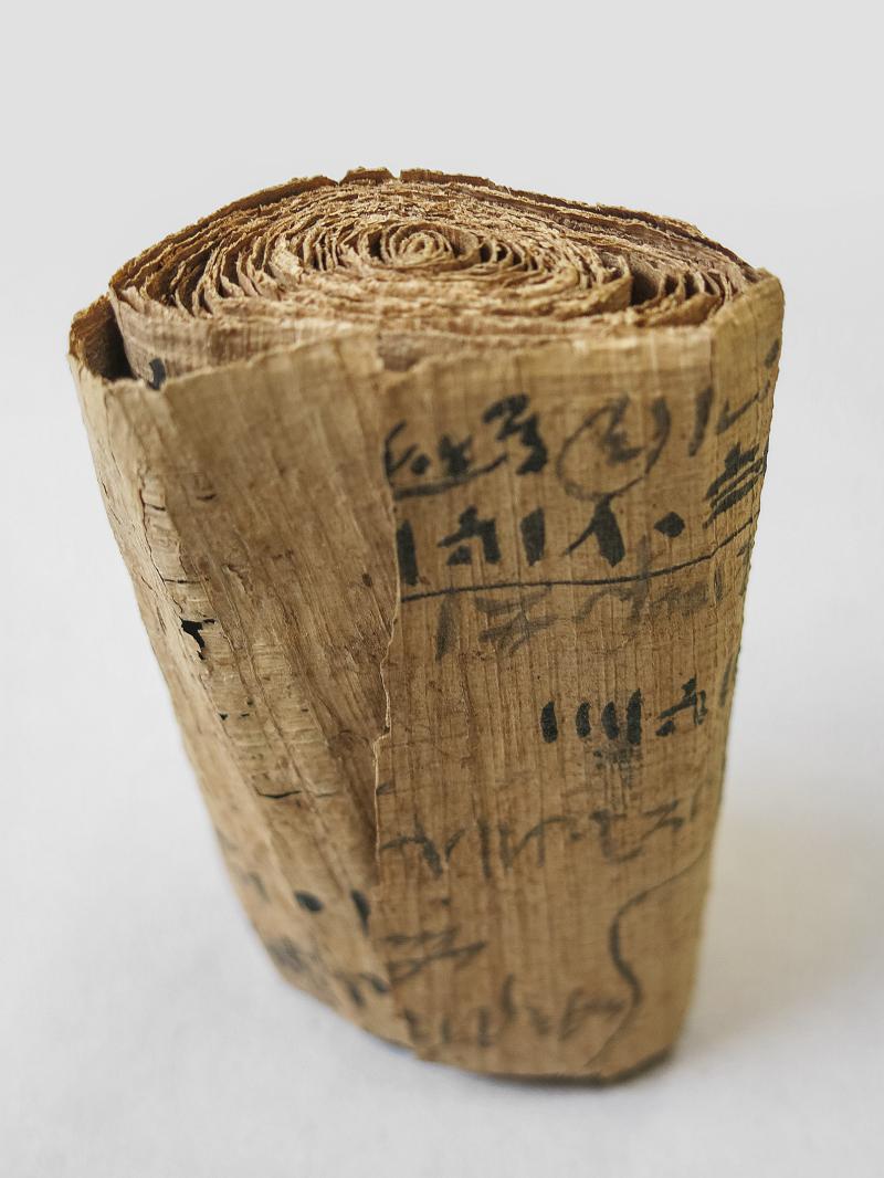 Der noch eingerollte Papyrus (640 KB) © KHM-Museumsverband, Foto: Vanessa Novak