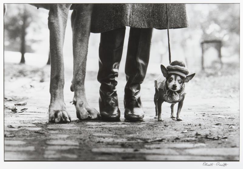 ELLIOTT ERWITT (* 1928) New York City, 1974 Silbergelatine-Abzug, 1990er- Jahre 29,7 x 43,9 cm Vorne im Rand signiert, rückseitig signiert, betitelt und datiert ￼￼￼Startpreis: 3.600 € / Schätzpreis: € 6.000-7.000