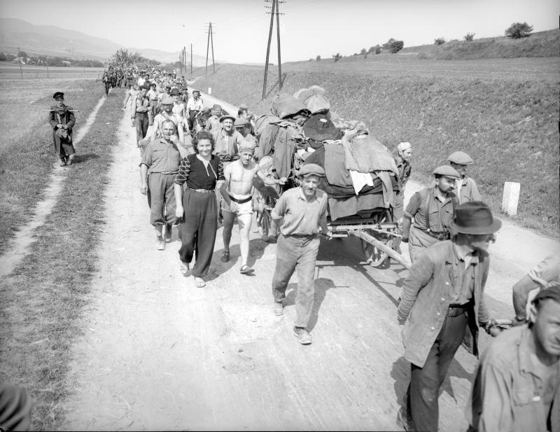 Dieses Bild vom Aufbruch aus Mauthausen in ein neues Leben bekam großes politisches Gewicht: Das offizielle Papier des US-Kongresses mit der Empfehlung, KZ-Überlebende aufzunehmen, verwendete einen Ausschnitt davon am Cover. Foto: FotografIn der United States Information Services (USIS), unbekannter Ort, 13.8.1945, ÖNB, Bildarchiv und Grafiksammlung