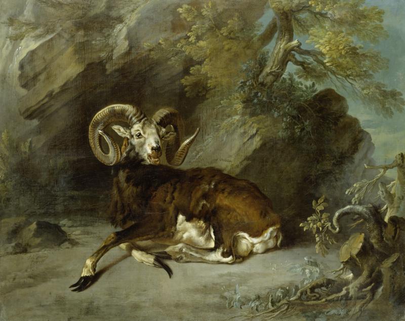 Jean-Baptiste Oudry, Mufflon, 1739, (c) Staatliche Schlösser, Gärten und Kunstsammlungen Mecklenburg-Vorpommern