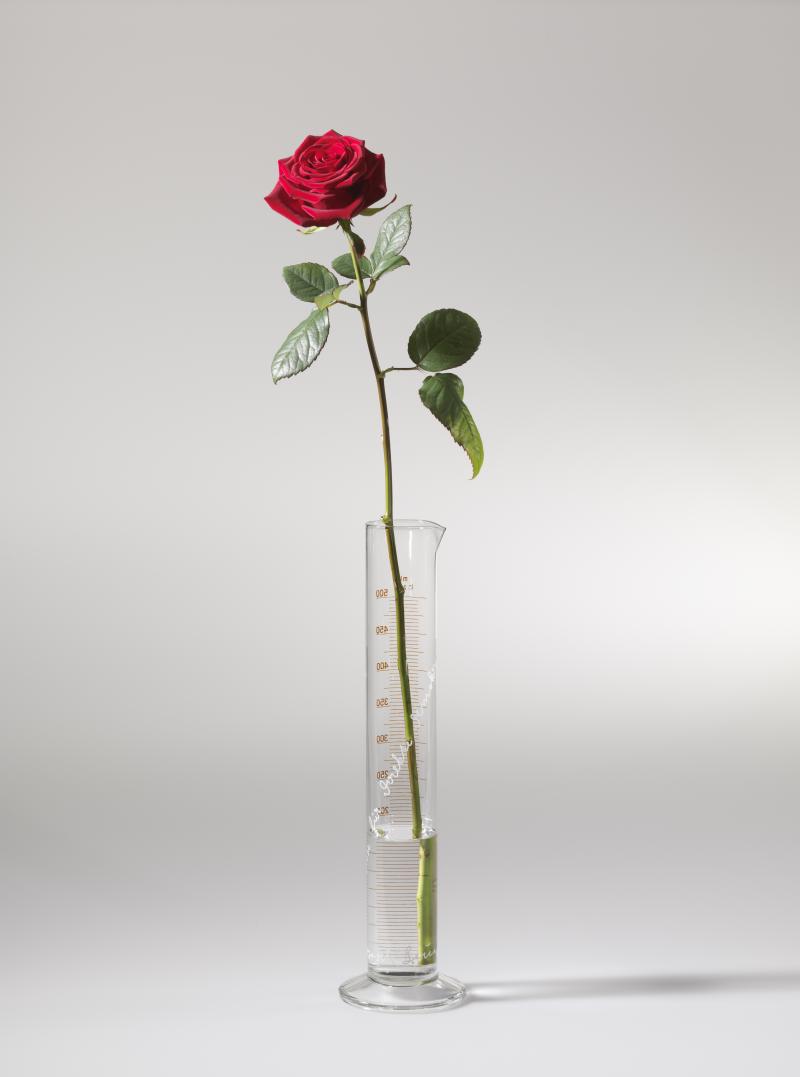 Joseph Beuys Rose für direkte Demokratie, 1973 Meßzylinder aus Glas, mit Schriftzug 33,5 x 5 x 5 cm Ort: Weiße Rose Saal im Justizpalast, Prielmayerstraße 7, 80335 München © VG Bild-Kunst, Bonn 2021