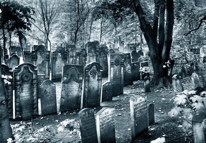 Max Halberstadt, Gräber auf dem Jüdischen Friedhof in Hamburg-Altona, Denkmalschutzamt Hamburg