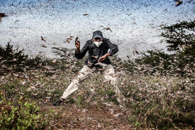 NOMINEE WORLD PRESS PHOTO OF THE YEAR & NATURE, STORIES, 3rd Prize Title: Fighting Locust Invasion in East Africa © Luis Tato, Spain, for The Washington Post