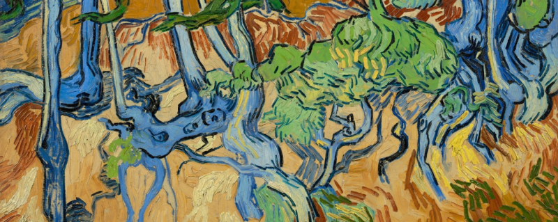 Tree Roots  Vincent van Gogh (1853 - 1890), Auvers-sur-Oise, July 1890  oil on canvas, 50.3 cm x 100.1 cm  Credits (obliged to state): Van Gogh Museum, Amsterdam (Vincent van Gogh Foundation)