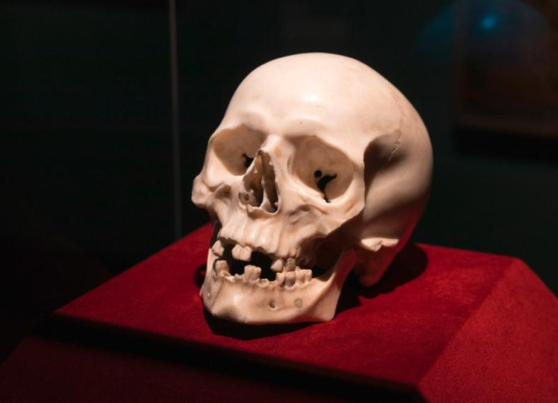 Gian Lorenzo Bernini, Death’s Head. Staatliche Kunstsammlungen Dresden, Skulpturensammlung. Photo: Oliver Killig.