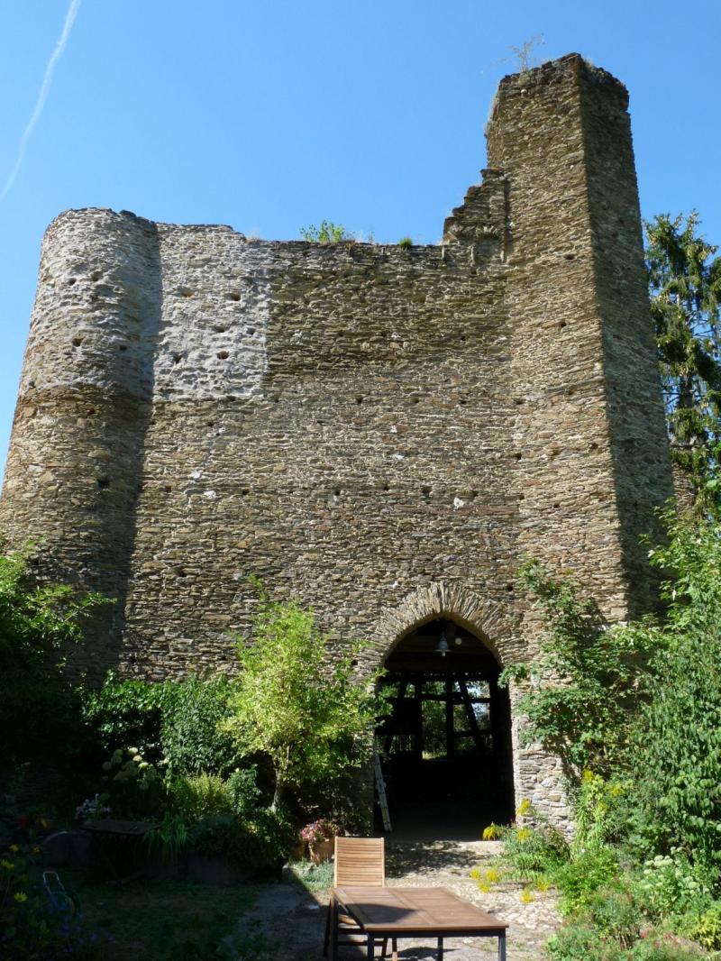 Burg Wallrabenstein in Hünstetten * Foto: Dirk Liß