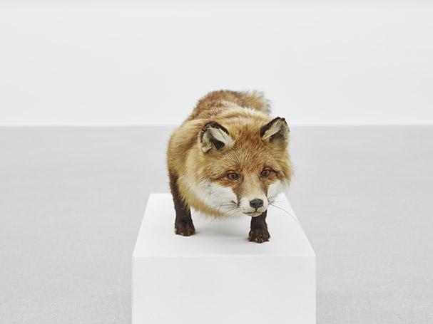 Ayşe Erkmen, Kuckuck/Fox, 2003/2020, Kinetic Installation, Foto: Dietmar Strauß, Besigheim  (c) VG Bild-Kunst, Bonn 2022