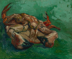 A Crab on its Back, Vincent van Gogh, 1887