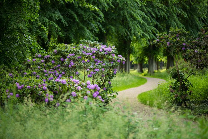 Schlosspark Bothmer, Foto: Timm Allrich