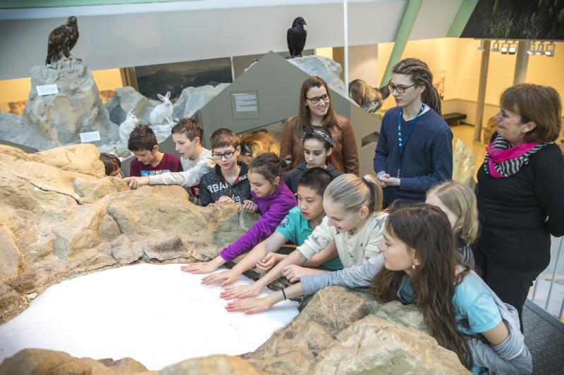 Der Gletscher im Haus für Natur im Museum Niederösterreich