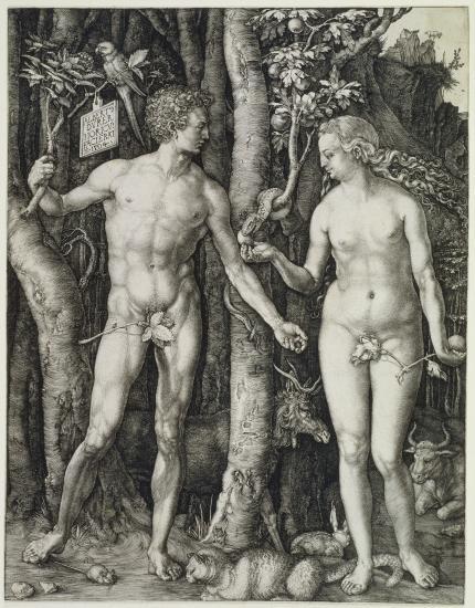 Albrecht Dürer, Adam und Eva, 1504