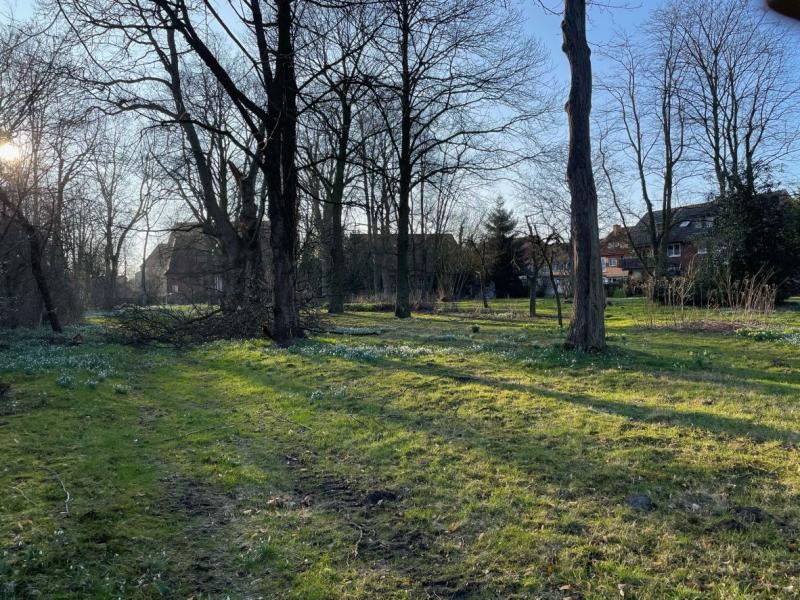 Garten am Haus Schücking in Sassenberg * Foto: Heffa Schücking