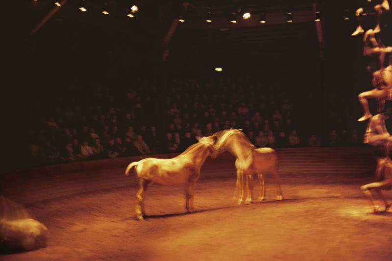 Nan Goldin Horse Circus, Paris, 2004 Farbsublimationsdruck auf Aluminium (50,8 x 76,2 cm) Courtesy of the artist and Marian Goodman Gallery © Nan Goldin