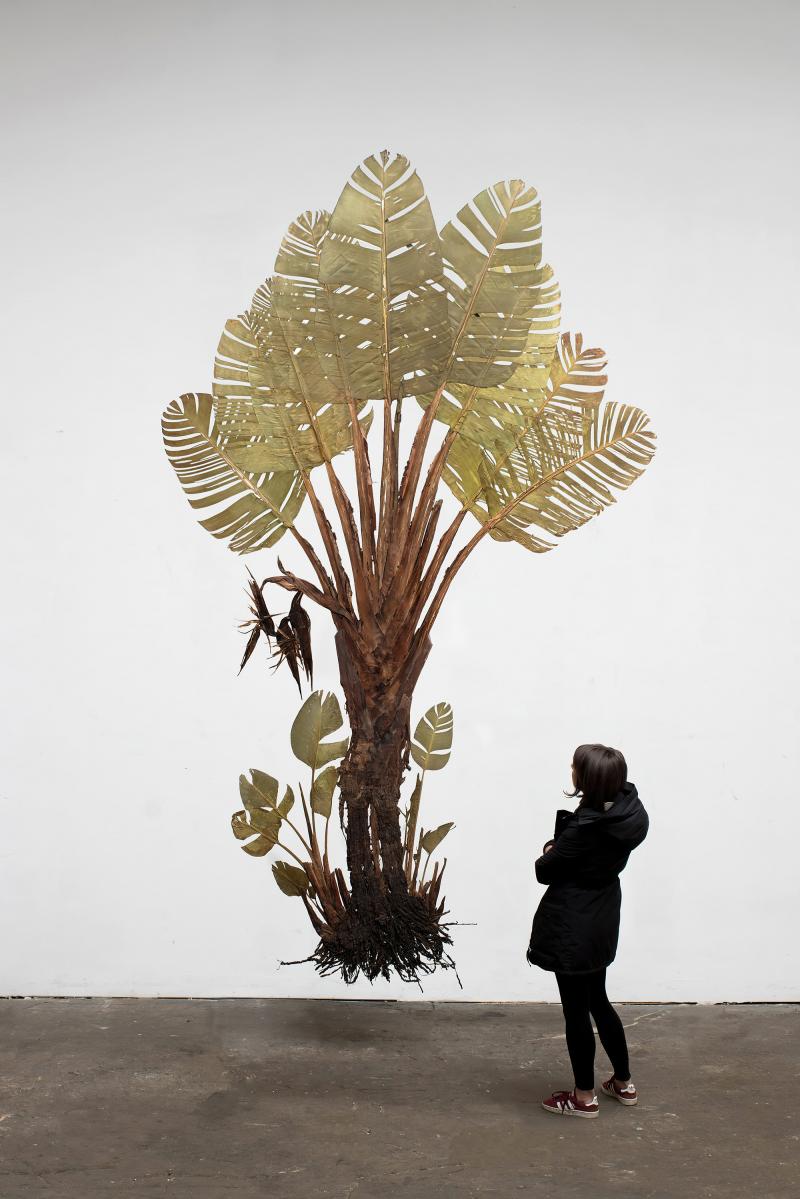 Julius von Bismarck, I like the flowers (Strelitzia Nicolai), 2017, Courtesy Julius von Bismarck; alexander levy, Berlin, and Sies + Höke, Düsseldorf, © Julius von Bismarck, VG Bild-Kunst, Bonn 2023 (