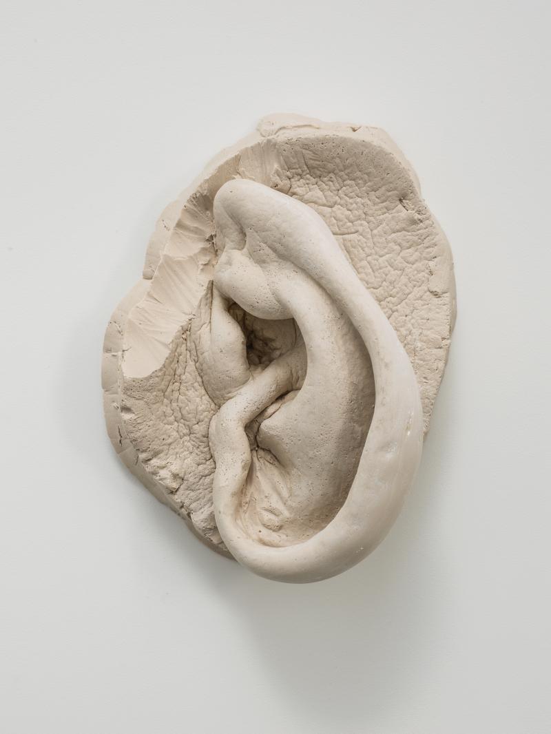 Robert Gober, Untitled, 2008 Gegossener Polymergips, 38 × 26.5 × 15.5 cm, Emanuel Hoffmann-Stiftung, Depositum in der Öffentlichen Kunstsammlung Basel, Foto: Fredrik Nilsen, Courtesy of the artist and Matthew Marks Gallery, © Robert Gober