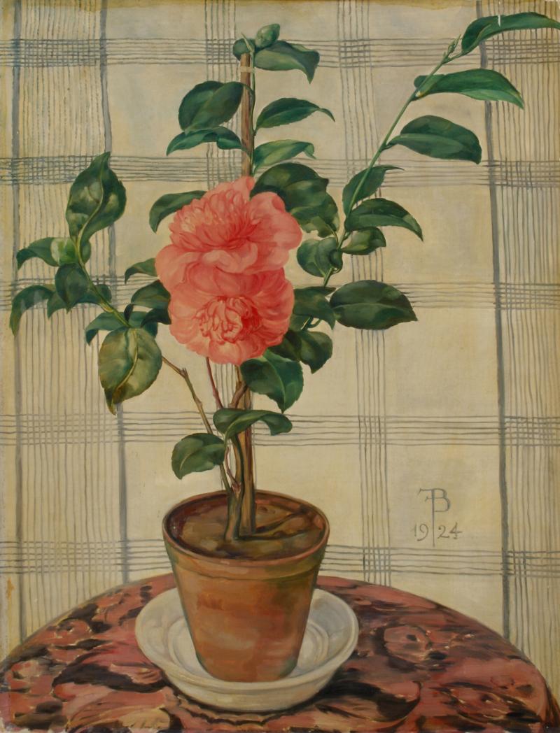 Friedrich Böhme, Kamelie, 1924 Öl auf Holz, 65 x 50 cm Kunsthalle Bremen – Der Kunstverein in Bremen