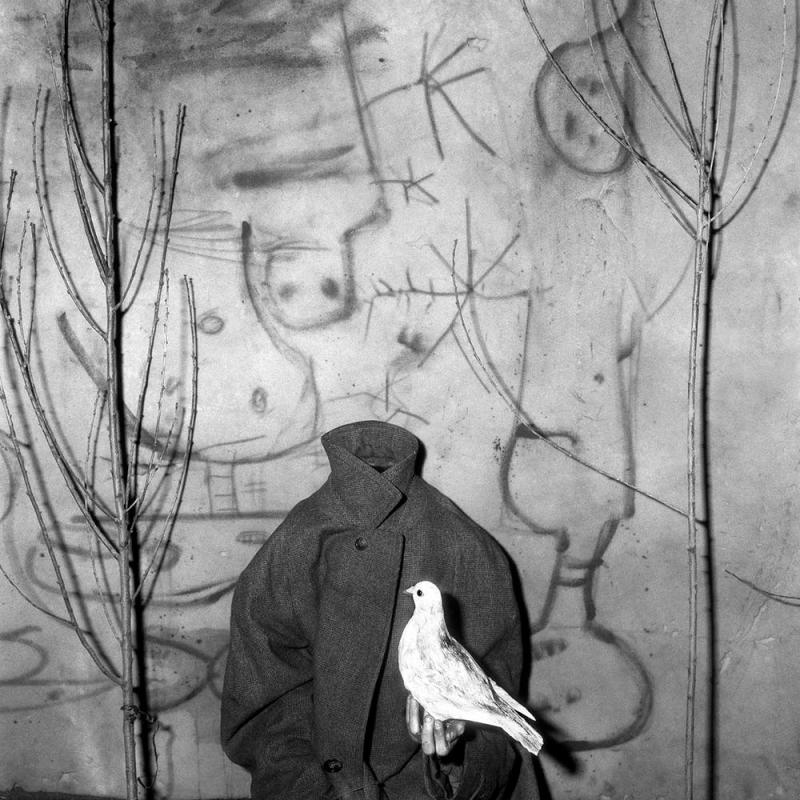 Roger Ballen, Headless 2006 © courtesy Roger Ballen