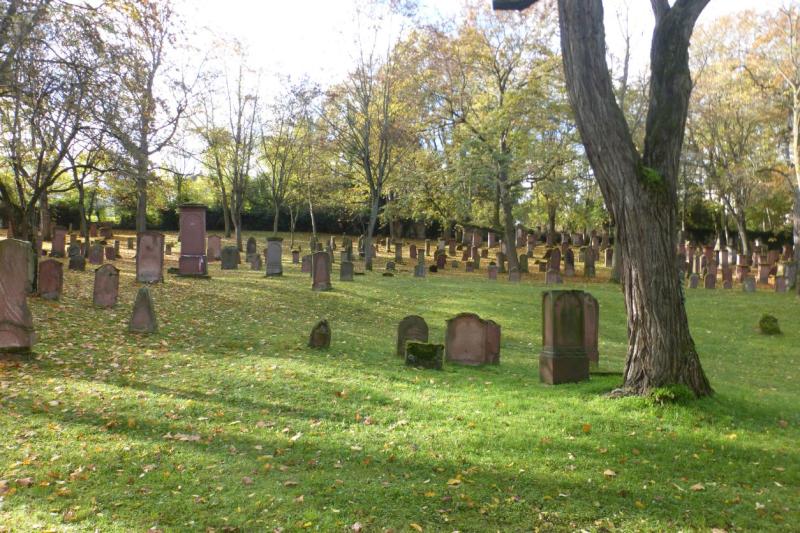 Der alte jüdische Friedhof in Mainz * Foto: Deutsche Stiftung Denkmalschutz/Wegner