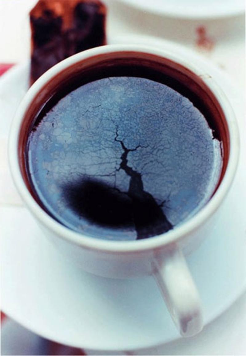 Wolfgang Tillmans, Chaos cup, 1997  C-Print, gerahmt, 44,1 x 34 x 2,2 cm Fondation Beyeler, Riehen/Basel © Wolfgang Tillmans