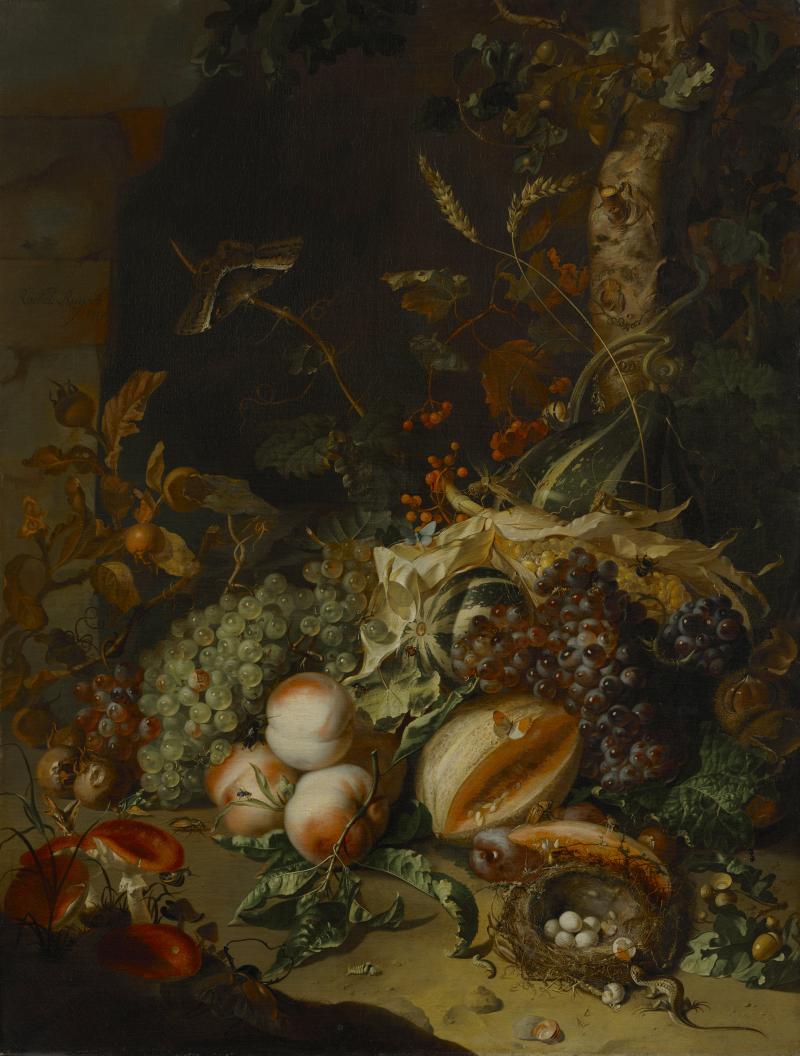 Rachel Ruysch (1664-1750) Früchtestück, 1709 Leinwand 92,7 x 70,3 cm Inventarnummer 420 © Bayerische Staatsgemäldesammlungen - Alte Pinakothek München Foto: Sibylle Forster