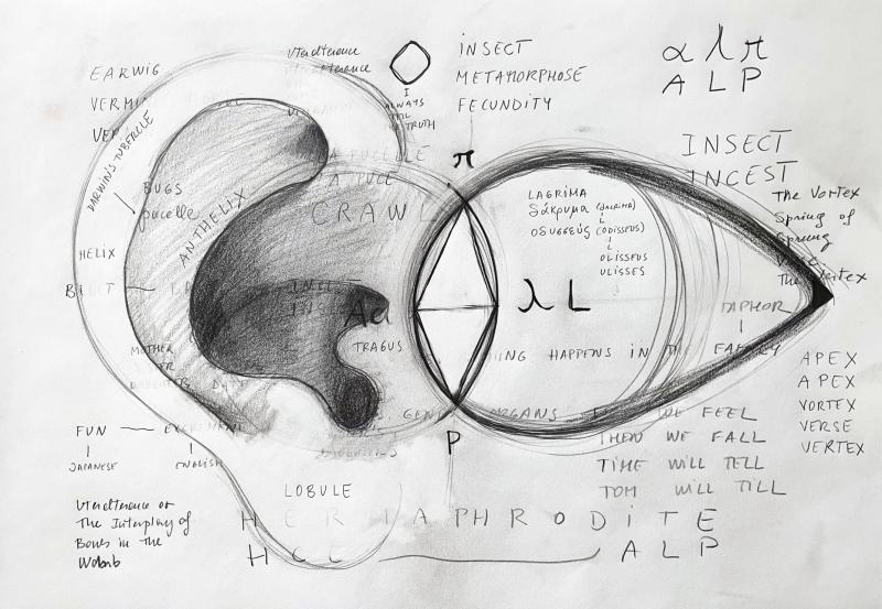 Dora Garcia (*1965) L'insecte 21 (aus der Serie Mad Marginal Charts), 2023 Bleistift und Pastell auf Papier, Holzrahmen, Glas: 42 x 58 cm, Rahmen: 52,5 x 72,5 x 5 cm © Courtesy the artist and Michel Rein, Paris / Brüssel